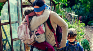 Ilustrasi Bird Box | The Verge