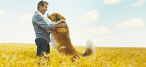 A Dog's Journey | SlashFilm
